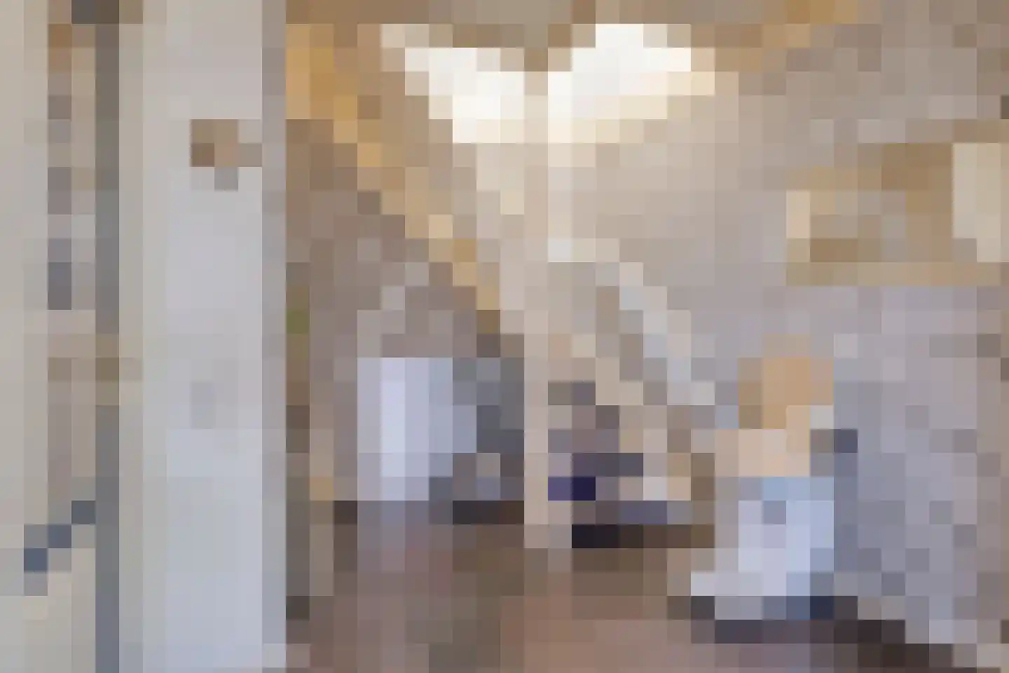 Beukenlaan 40 Odiliapeel thumbnail 6