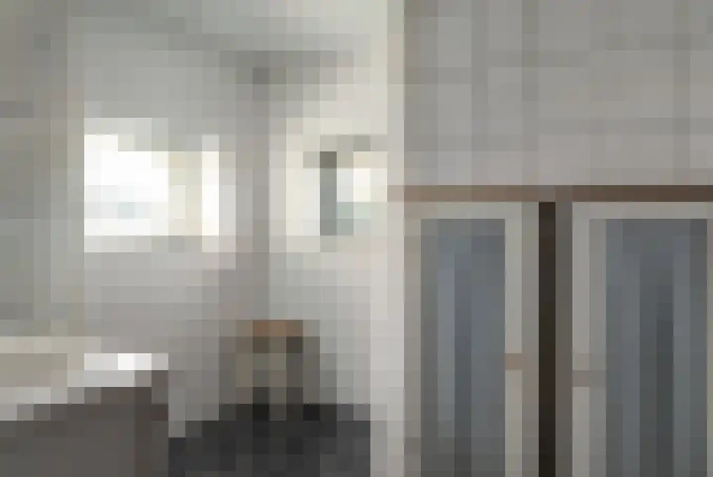 Beukenlaan 40 Oosterzee thumbnail 15