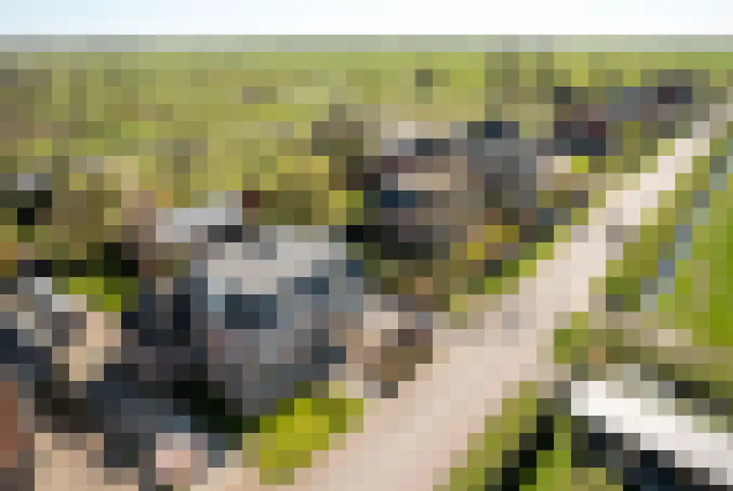Beukenlaan 40 Oosterzee thumbnail 34