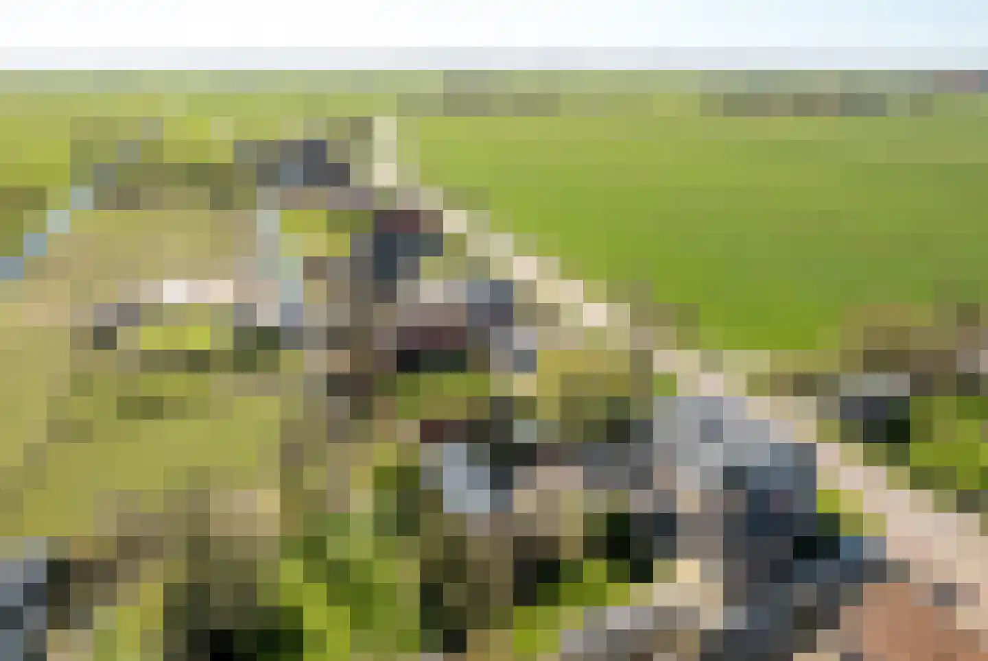 Beukenlaan 40 Oosterzee thumbnail 35