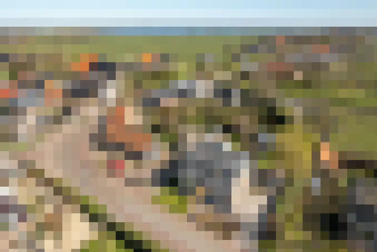 Beukenlaan 40 Oosterzee thumbnail 36