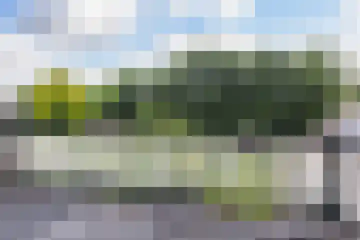 Beukenlaan 40 Soest thumbnail 28