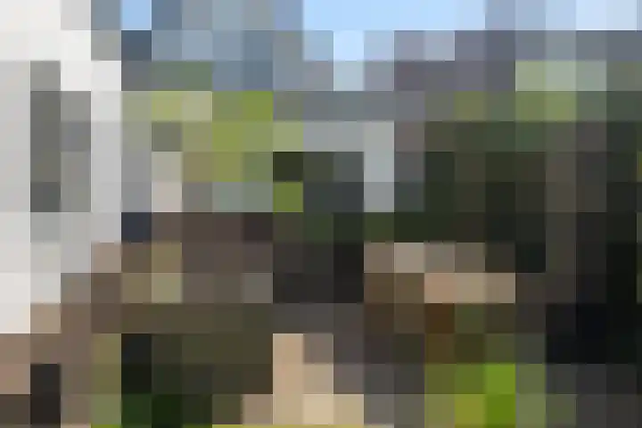 Beukenlaan 40 Soest thumbnail 36