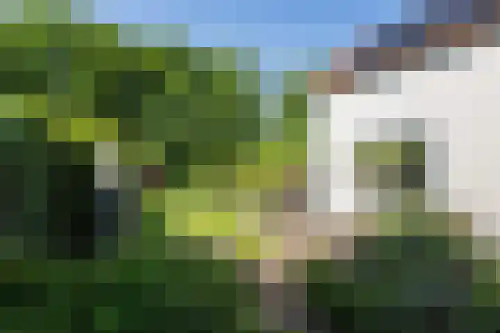 Beukenlaan 40 Soest thumbnail 37
