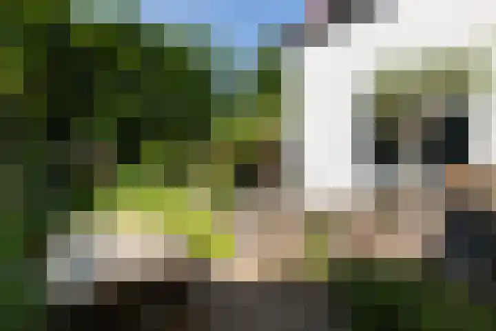 Beukenlaan 40 Soest thumbnail 39