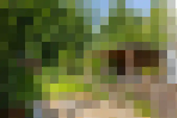 Beukenlaan 40 Soest thumbnail 40