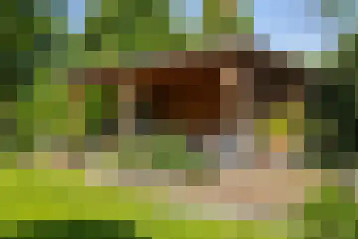 Beukenlaan 40 Soest thumbnail 41