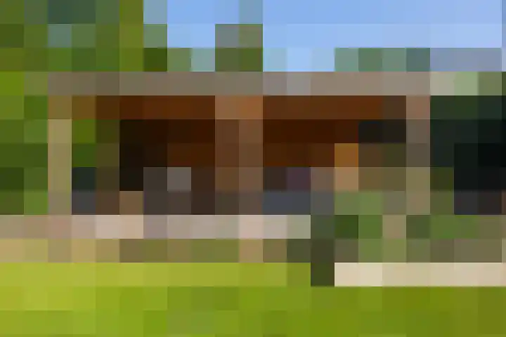 Beukenlaan 40 Soest thumbnail 42