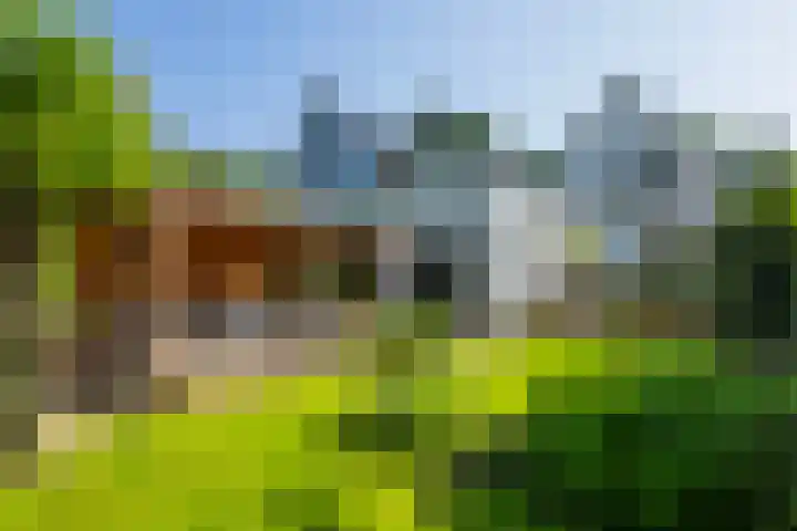 Beukenlaan 40 Soest thumbnail 43