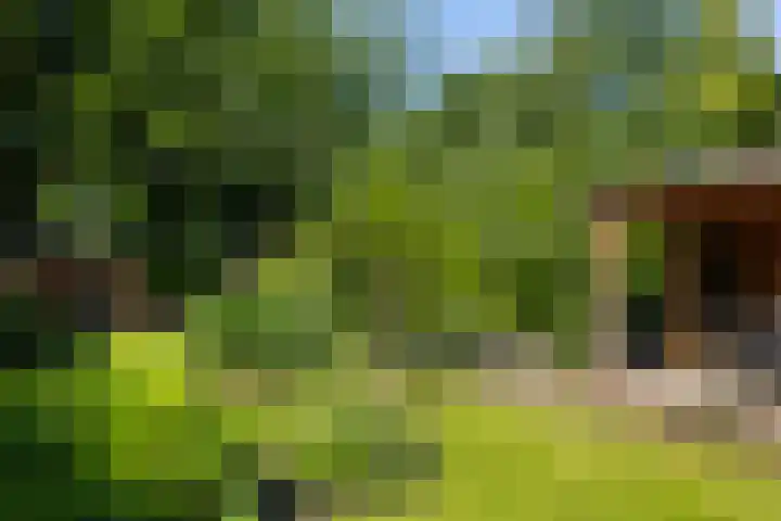 Beukenlaan 40 Soest thumbnail 46
