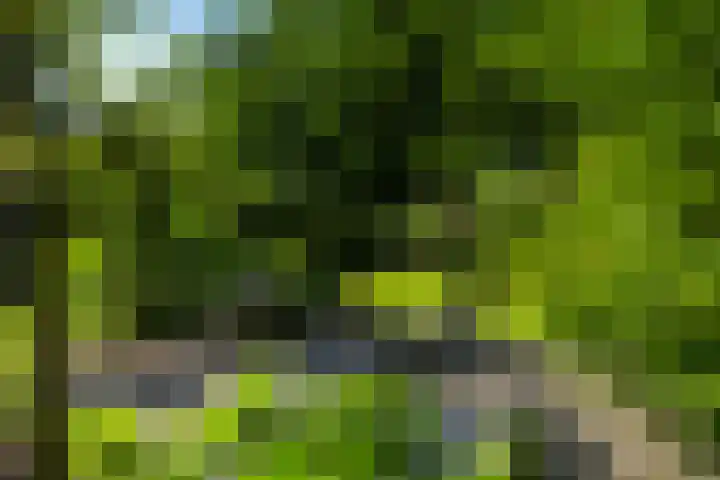 Beukenlaan 40 Soest thumbnail 47