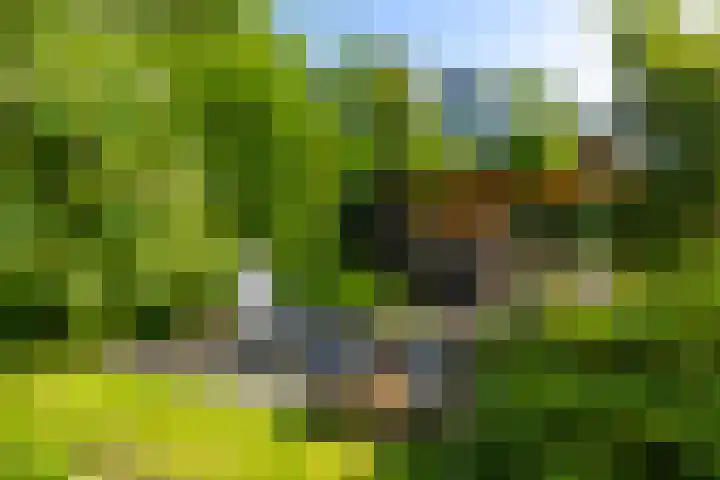 Beukenlaan 40 Soest thumbnail 48