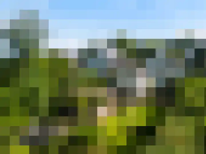 Beukenlaan 40 Soest thumbnail 5