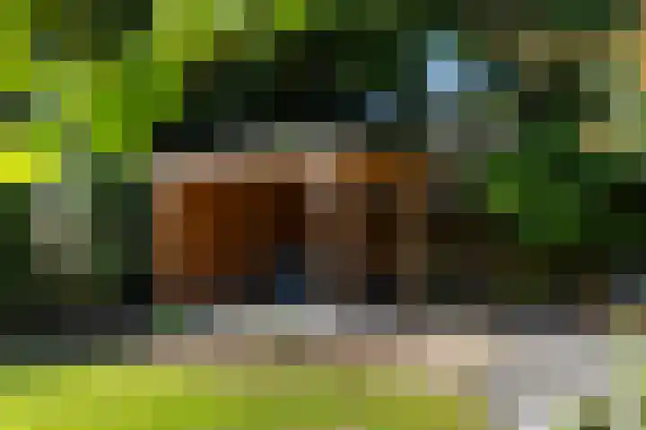Beukenlaan 40 Soest thumbnail 50