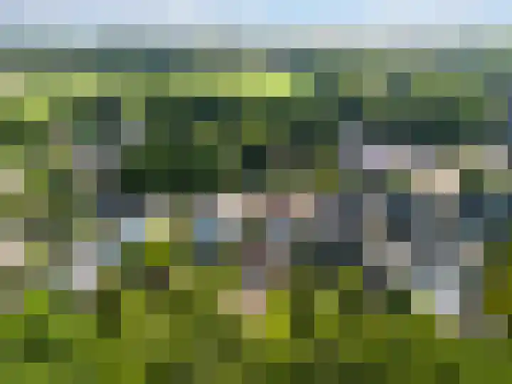 Beukenlaan 40 Soest thumbnail 53