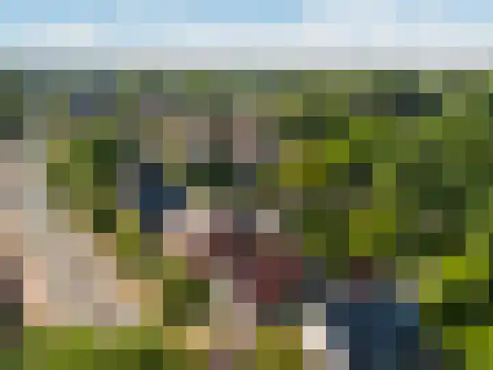 Beukenlaan 40 Soest thumbnail 58