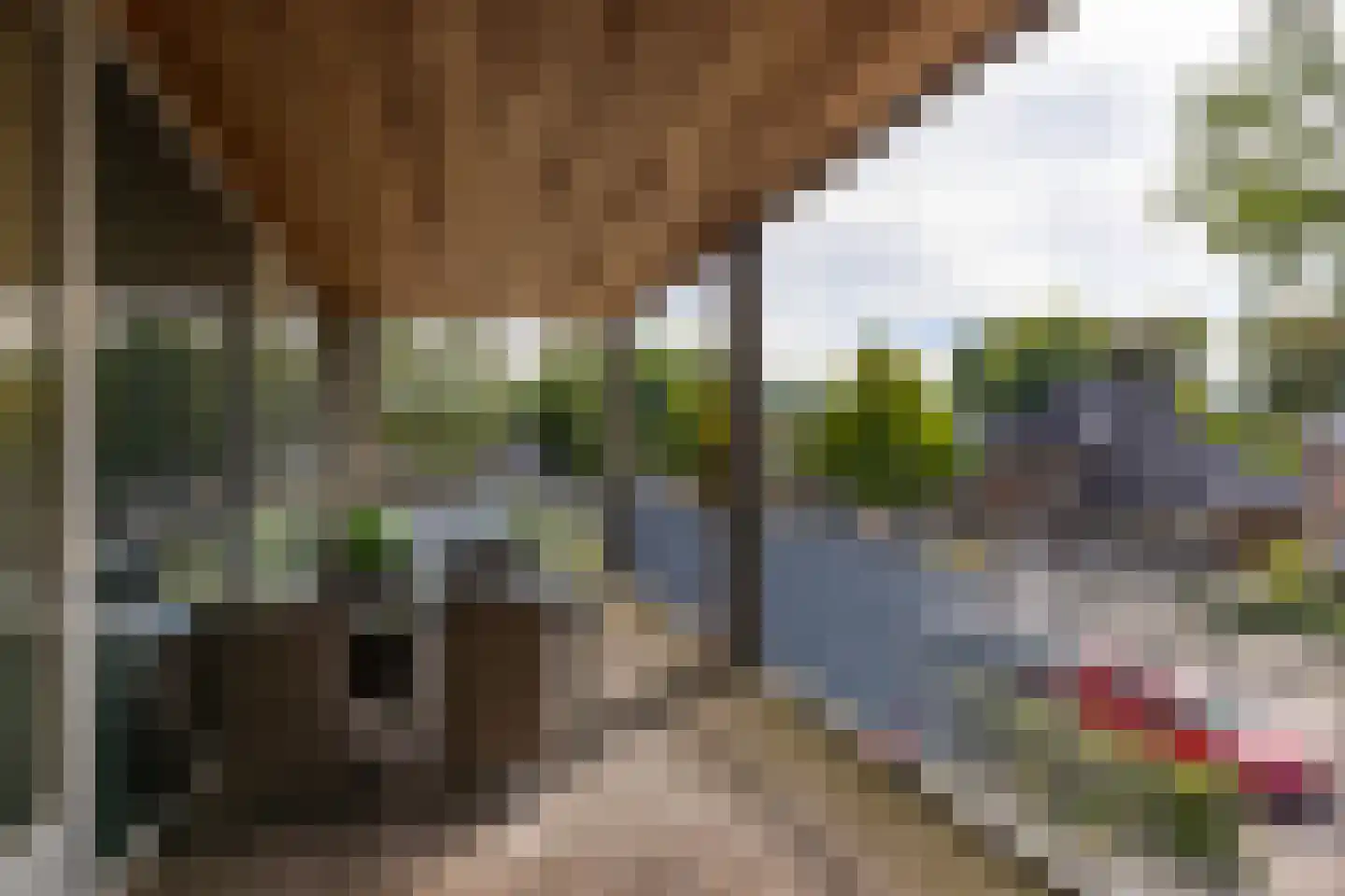 Beukenlaan 41 Gorssel thumbnail 21