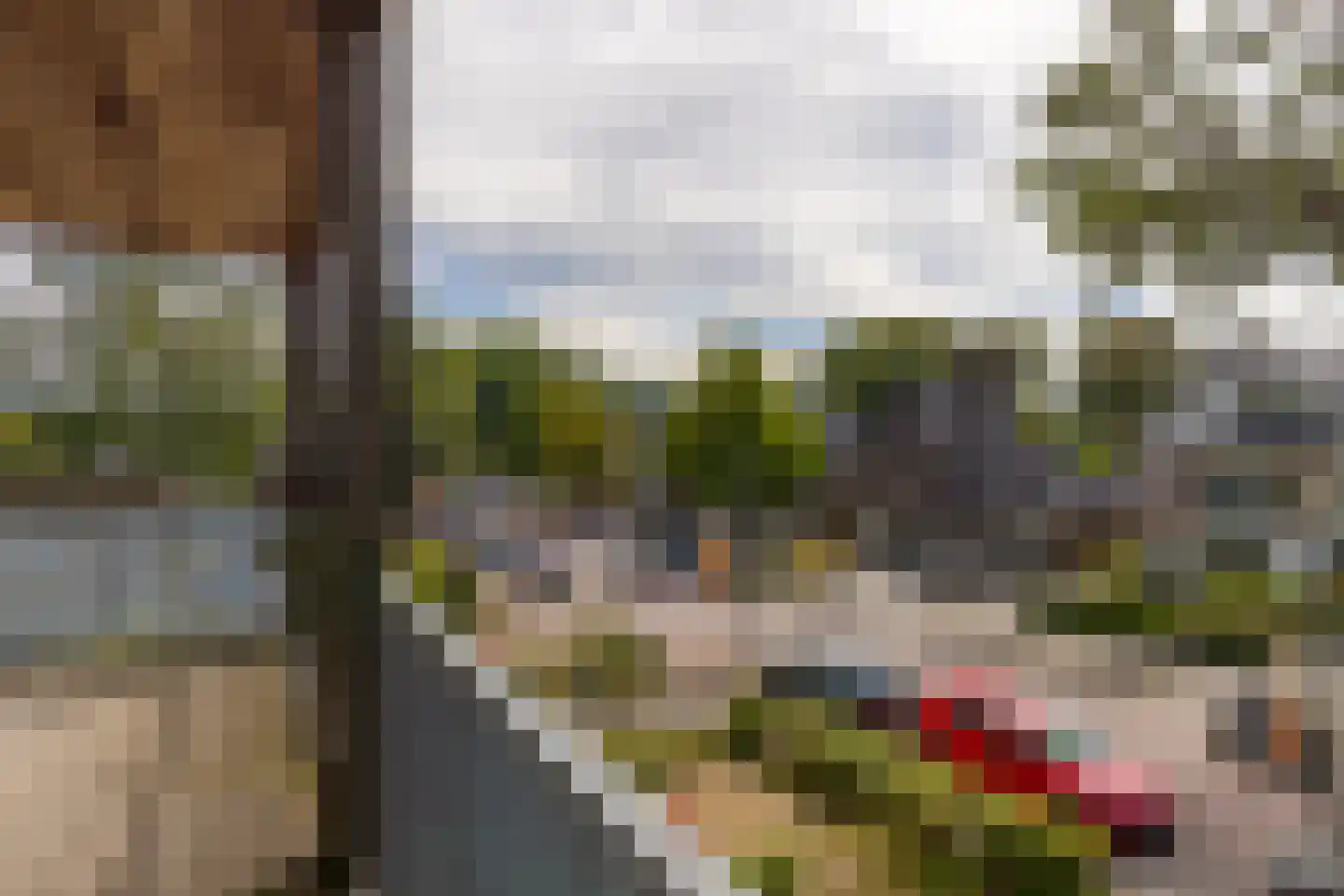 Beukenlaan 41 Gorssel thumbnail 23