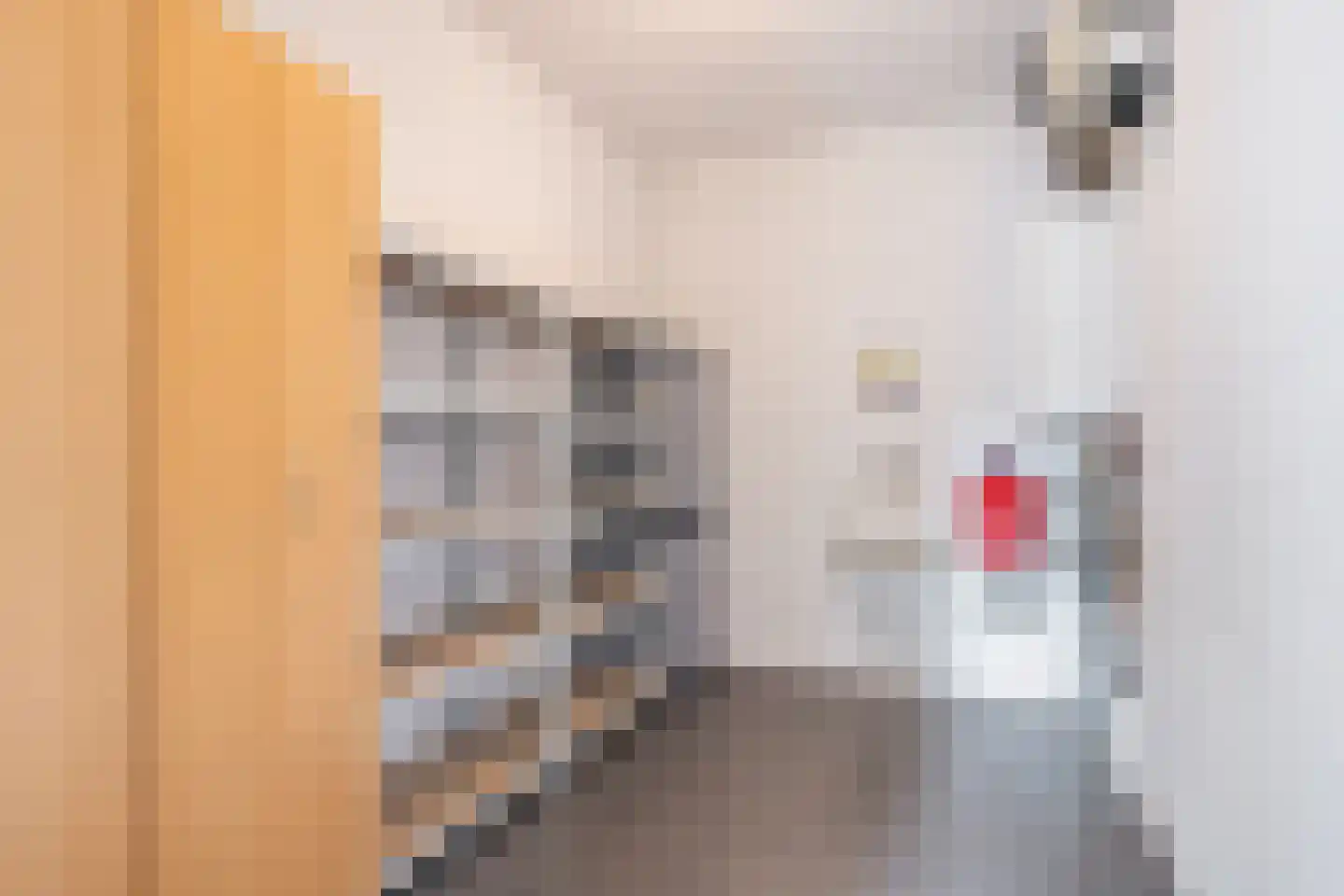 Beukenlaan 41 Gorssel thumbnail 37