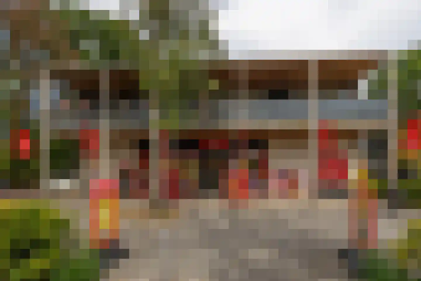 Beukenlaan 41 Gorssel thumbnail 47