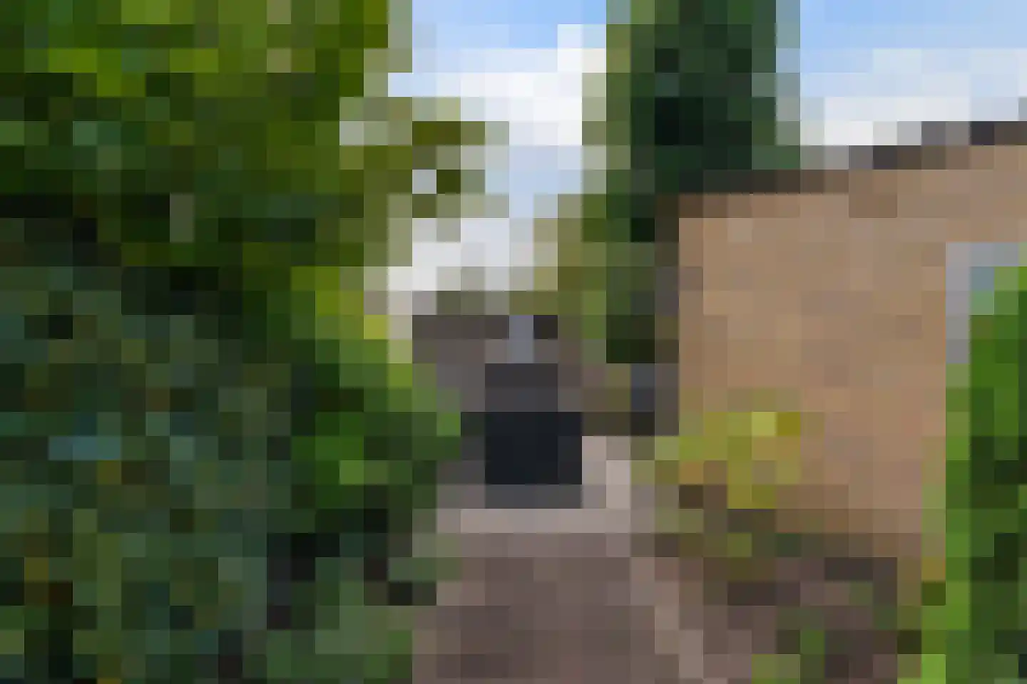 Beukenlaan 42 Waalwijk thumbnail 30