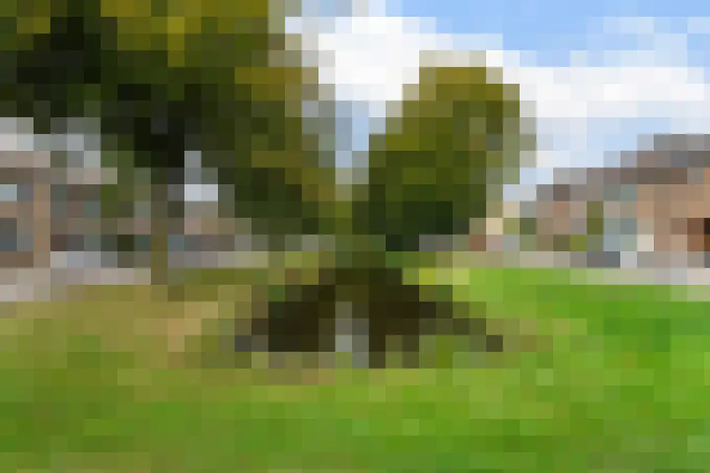 Beukenlaan 42 Waalwijk thumbnail 32