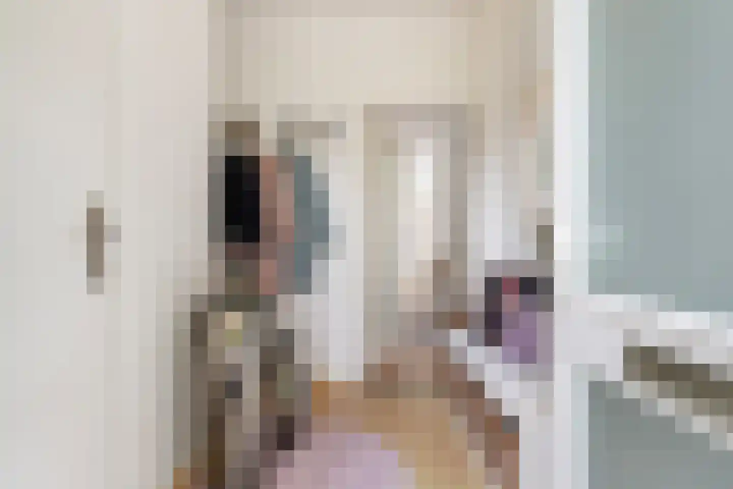 Beukenlaan 42 Waalwijk thumbnail 5