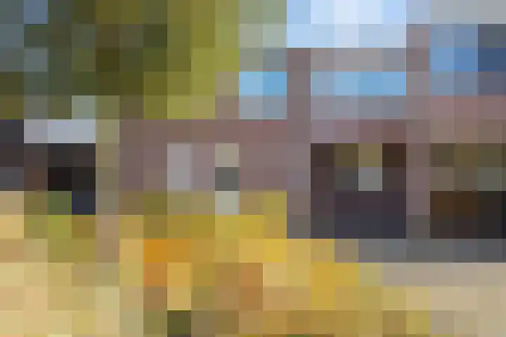 Beukenlaan 43 Borculo thumbnail 28
