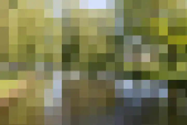 Beukenlaan 43 Borculo thumbnail 31