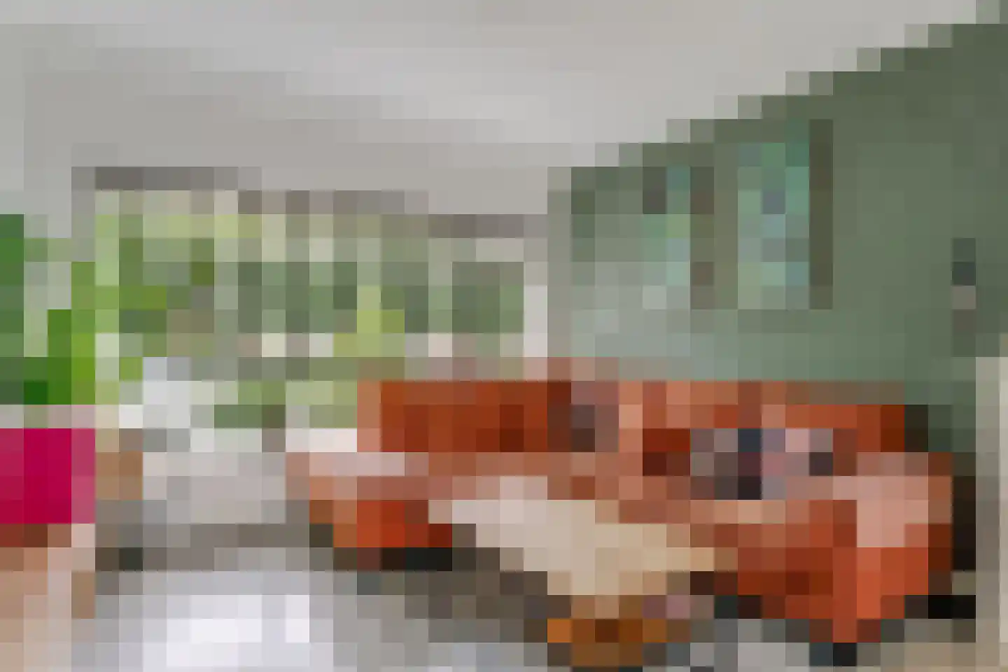 Beukenlaan 43 Middenmeer thumbnail 10