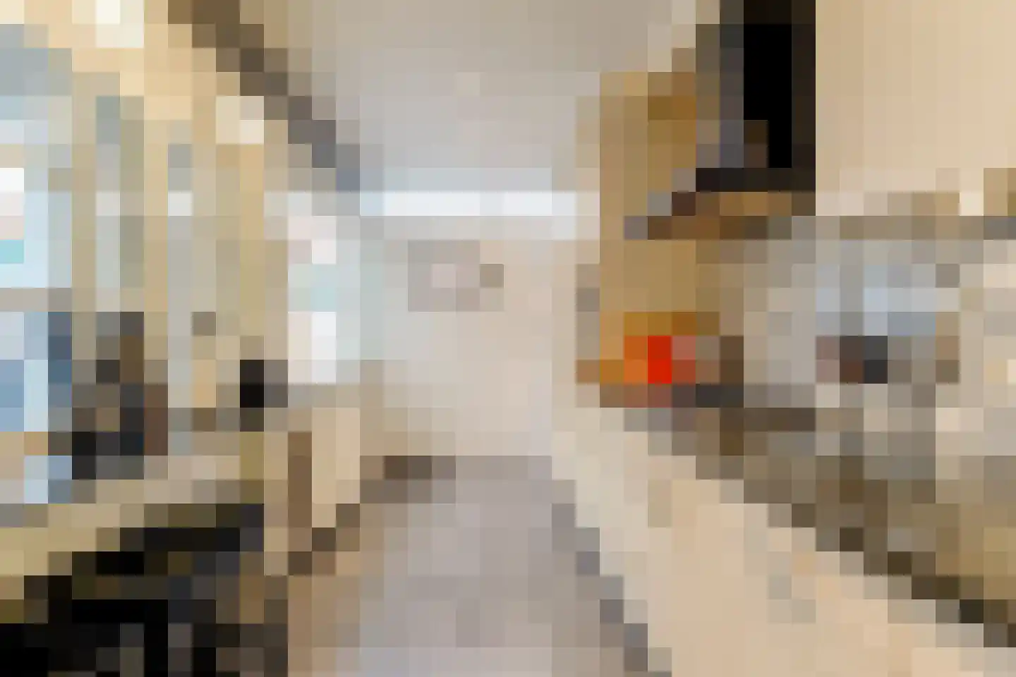 Beukenlaan 43 Middenmeer thumbnail 21