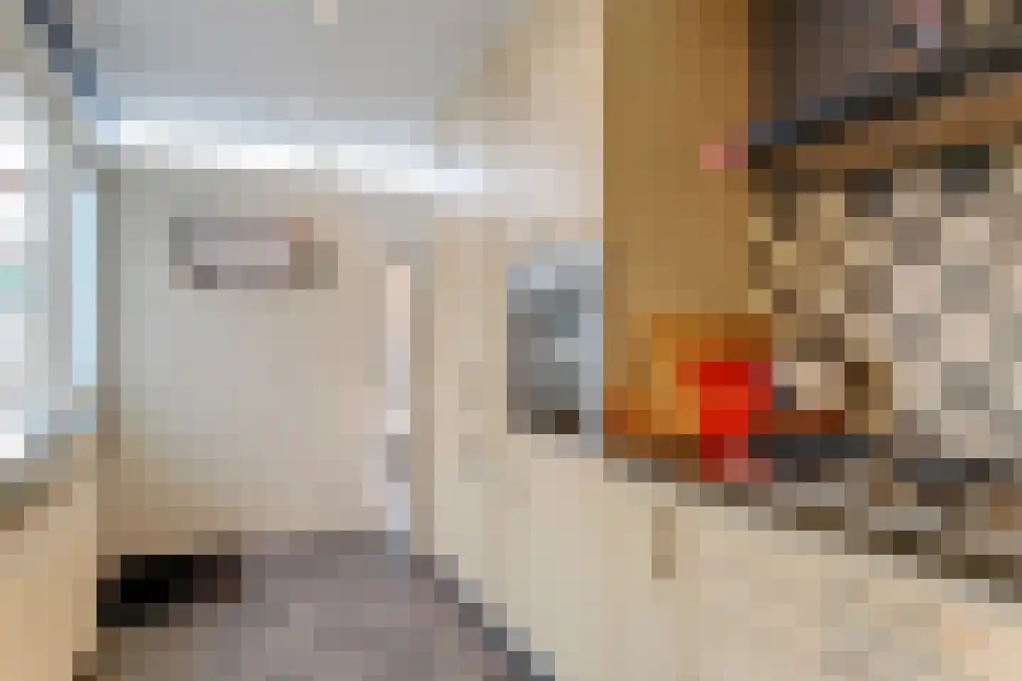 Beukenlaan 43 Middenmeer thumbnail 22