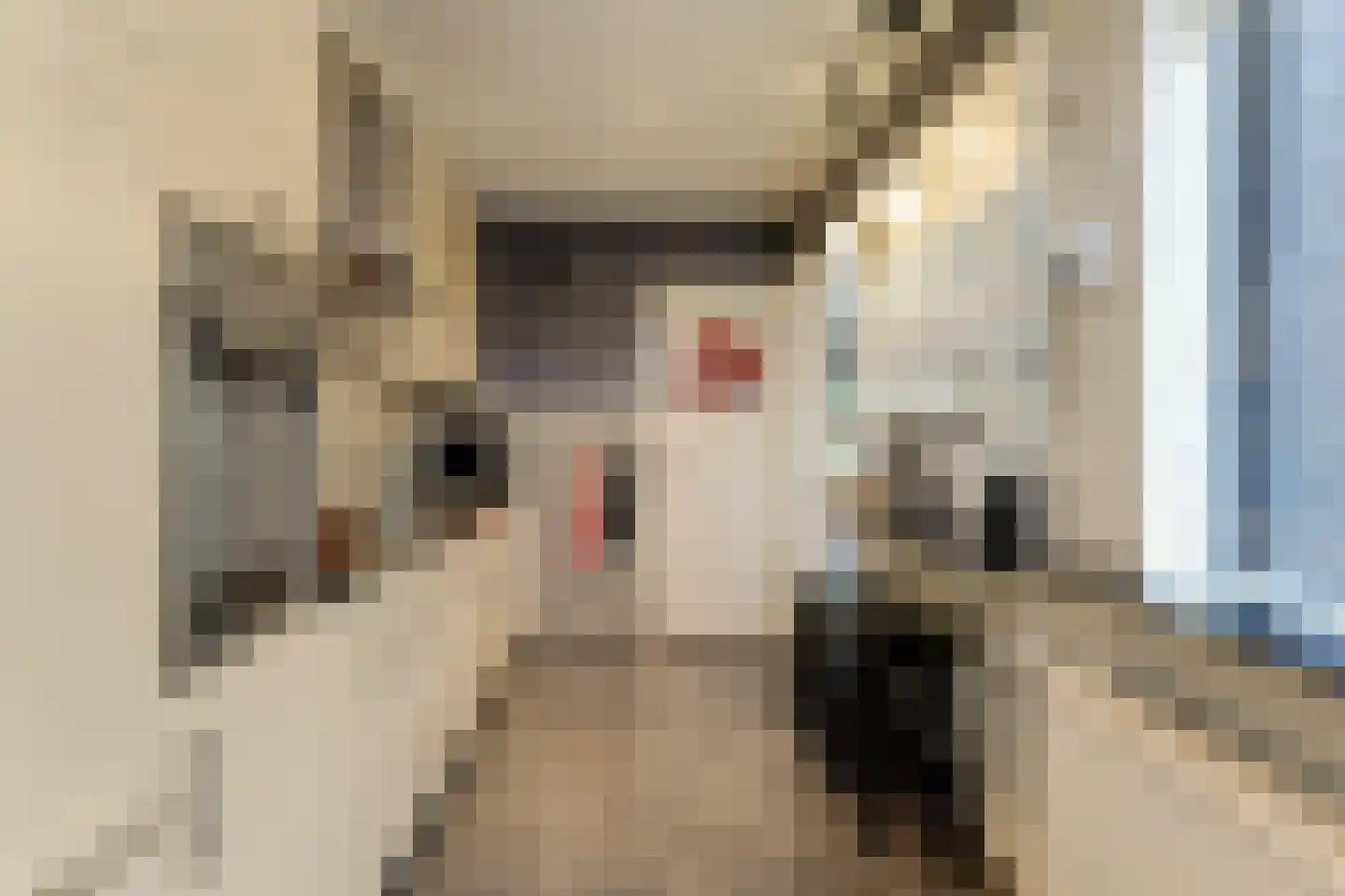 Beukenlaan 43 Middenmeer thumbnail 24
