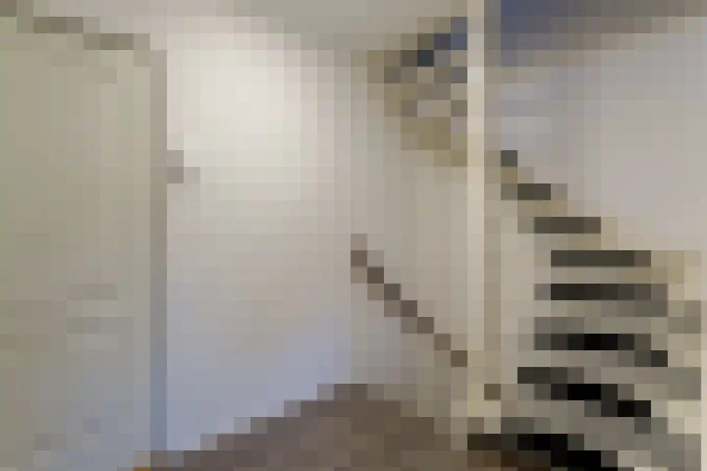 Beukenlaan 43 Middenmeer thumbnail 29