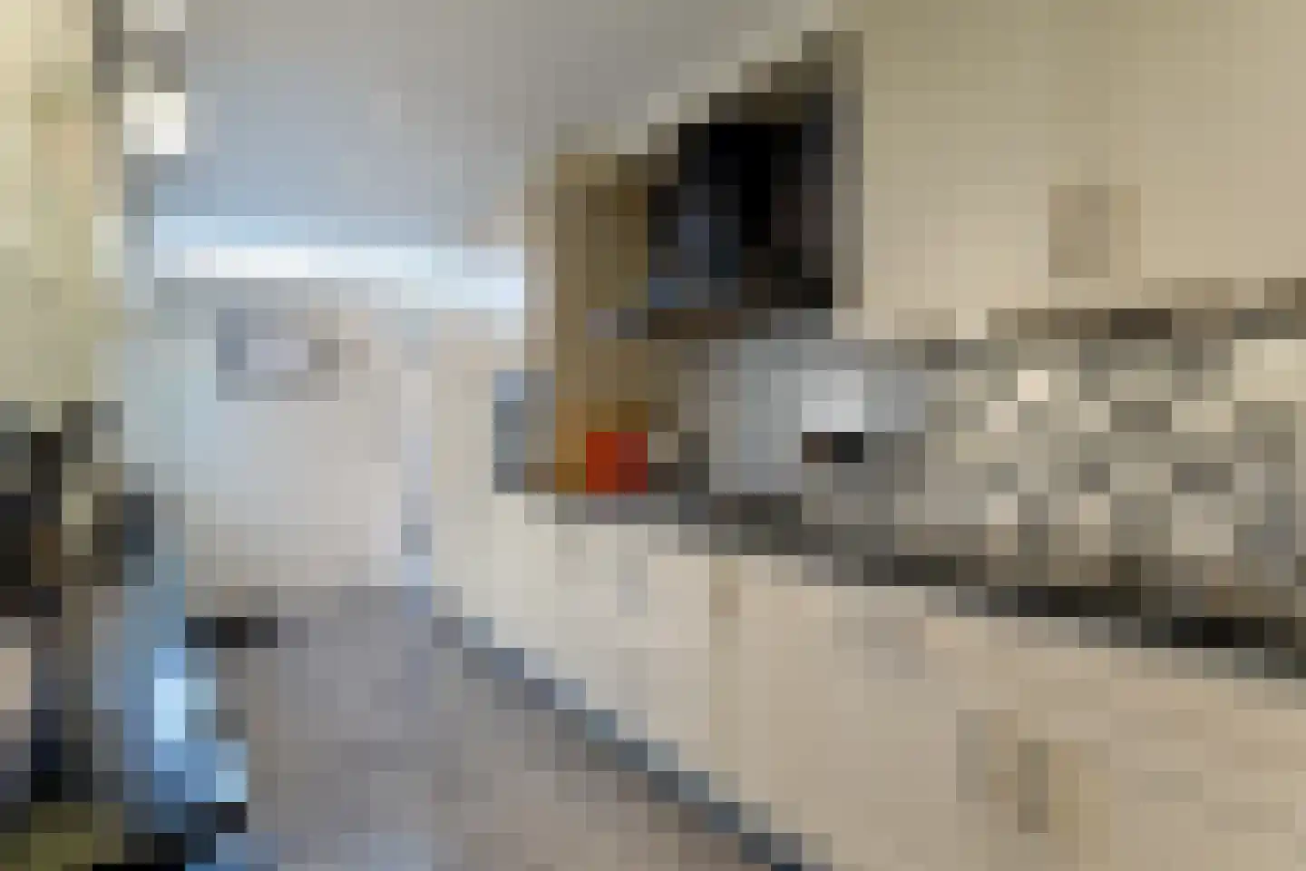 Beukenlaan 43 Middenmeer thumbnail 4