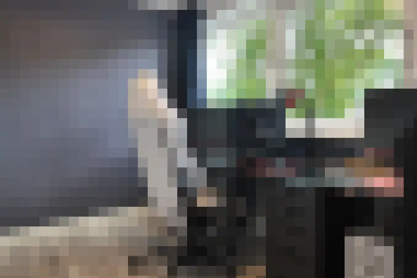 Beukenlaan 43 Middenmeer thumbnail 41