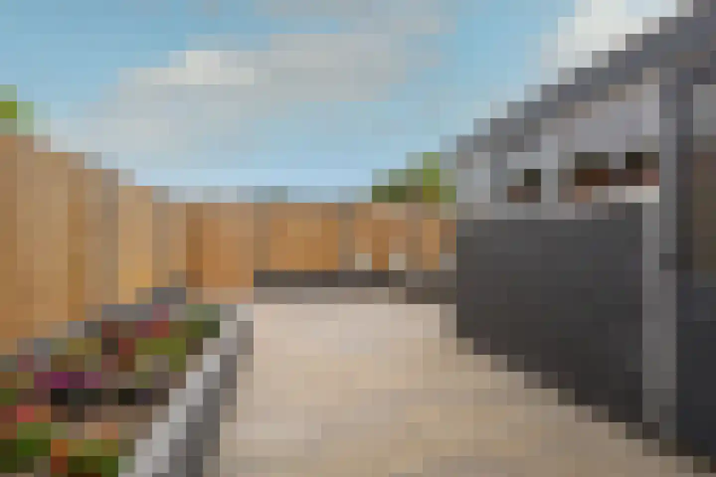 Beukenlaan 43 Middenmeer thumbnail 51