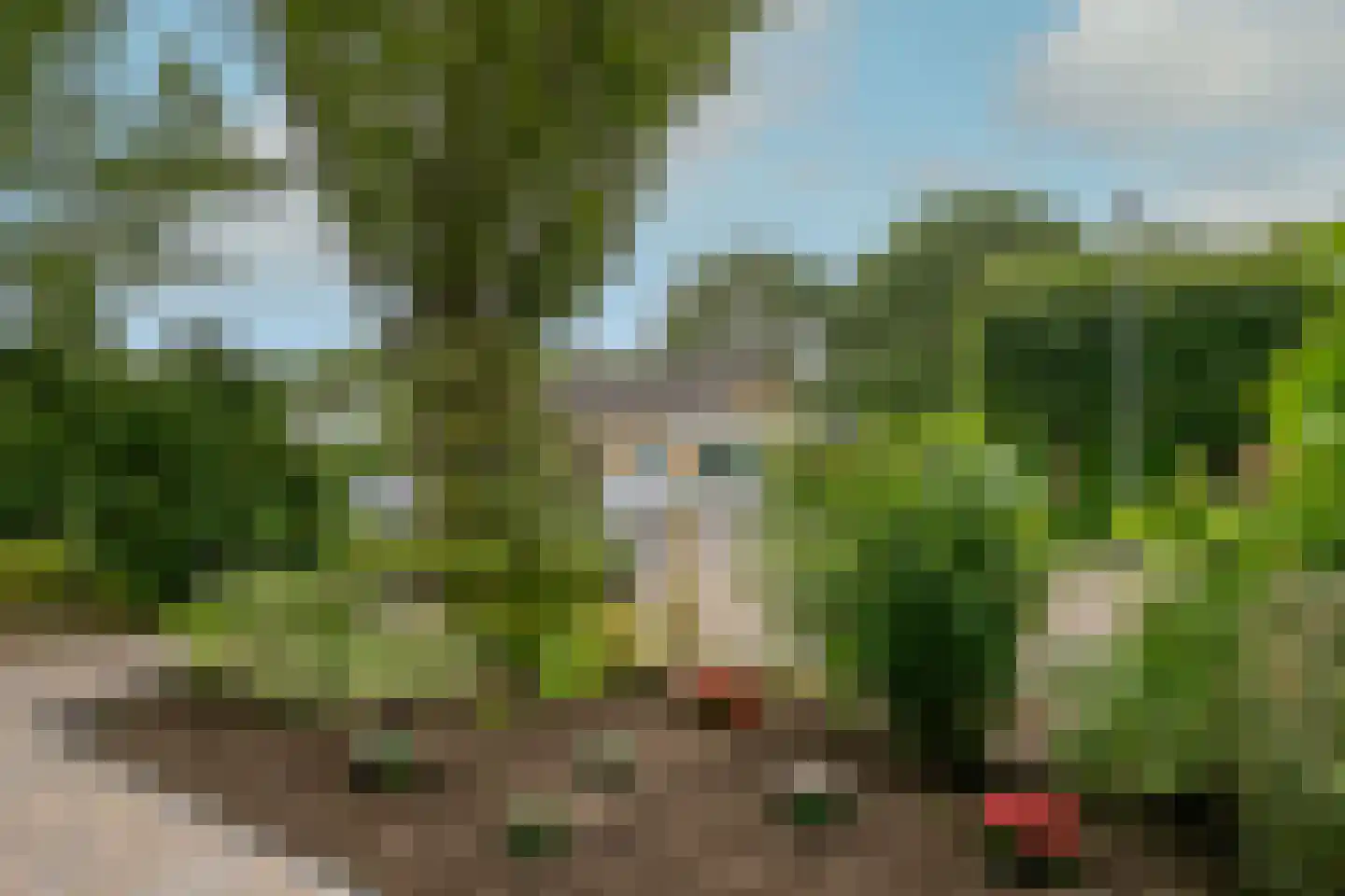 Beukenlaan 43 Middenmeer thumbnail 58