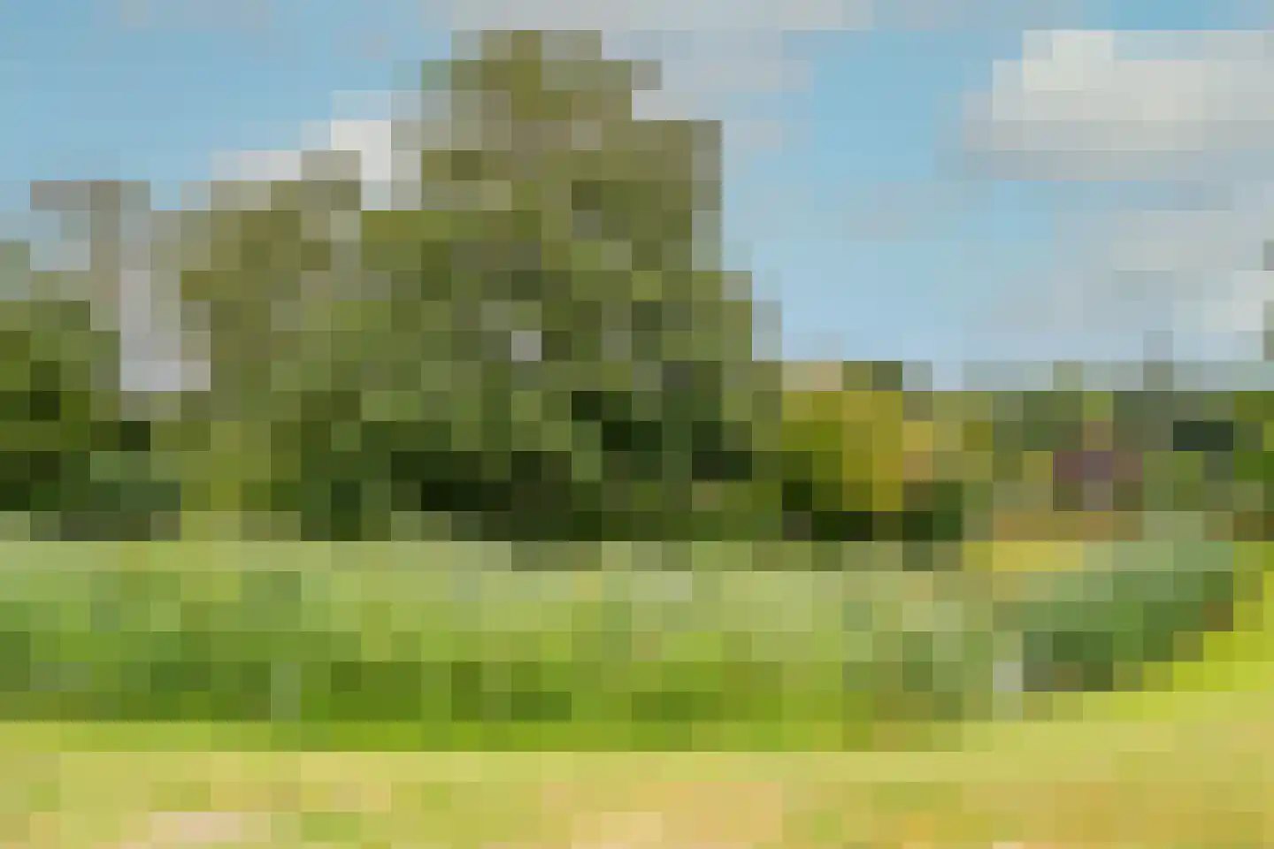 Beukenlaan 43 Middenmeer thumbnail 61