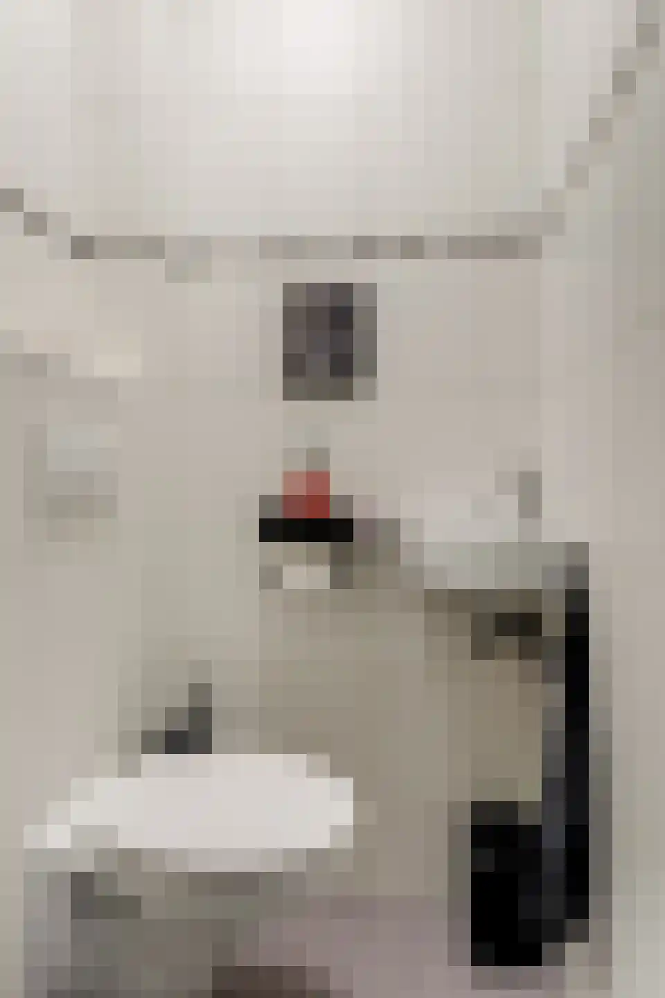 Beukenlaan 43 Middenmeer thumbnail 9