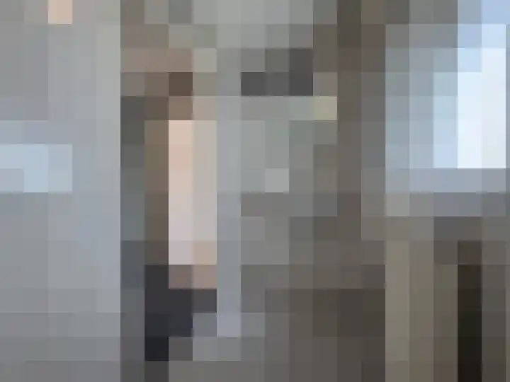 Beukenlaan 44 Wierden thumbnail 24