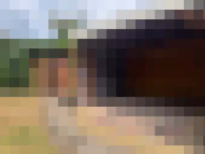 Beukenlaan 44 Wierden thumbnail 30