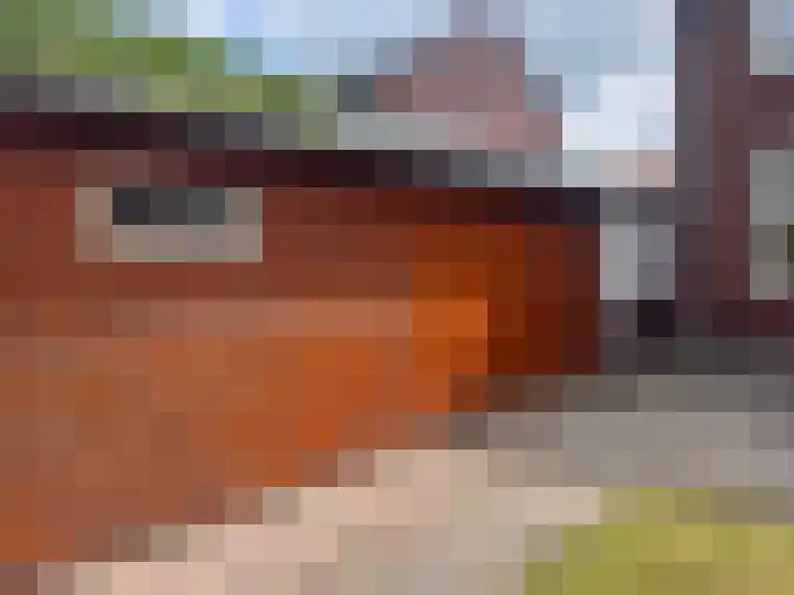 Beukenlaan 44 Wierden thumbnail 31