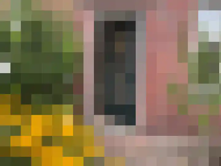 Beukenlaan 44 Wierden thumbnail 6