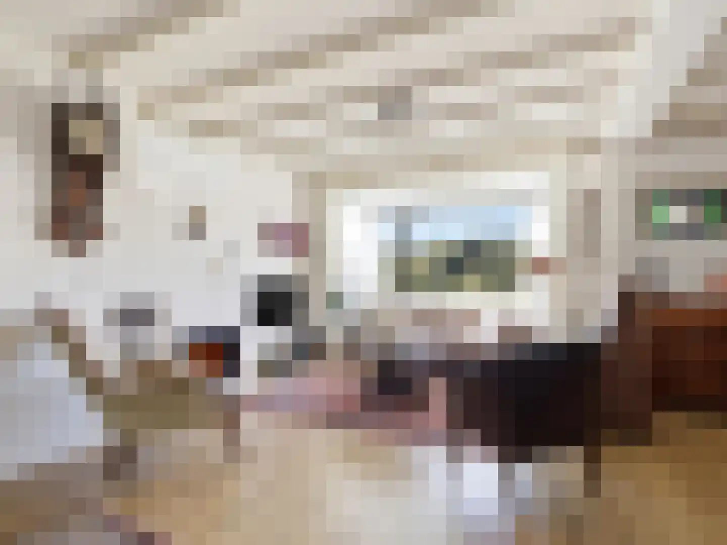 Beukenlaan 45 Renkum thumbnail 10