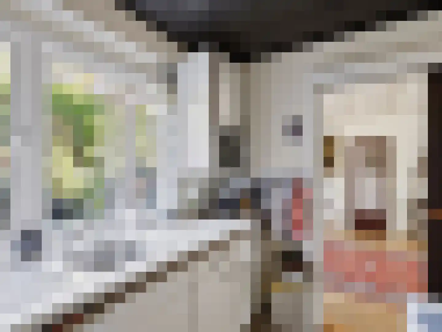 Beukenlaan 45 Renkum thumbnail 20