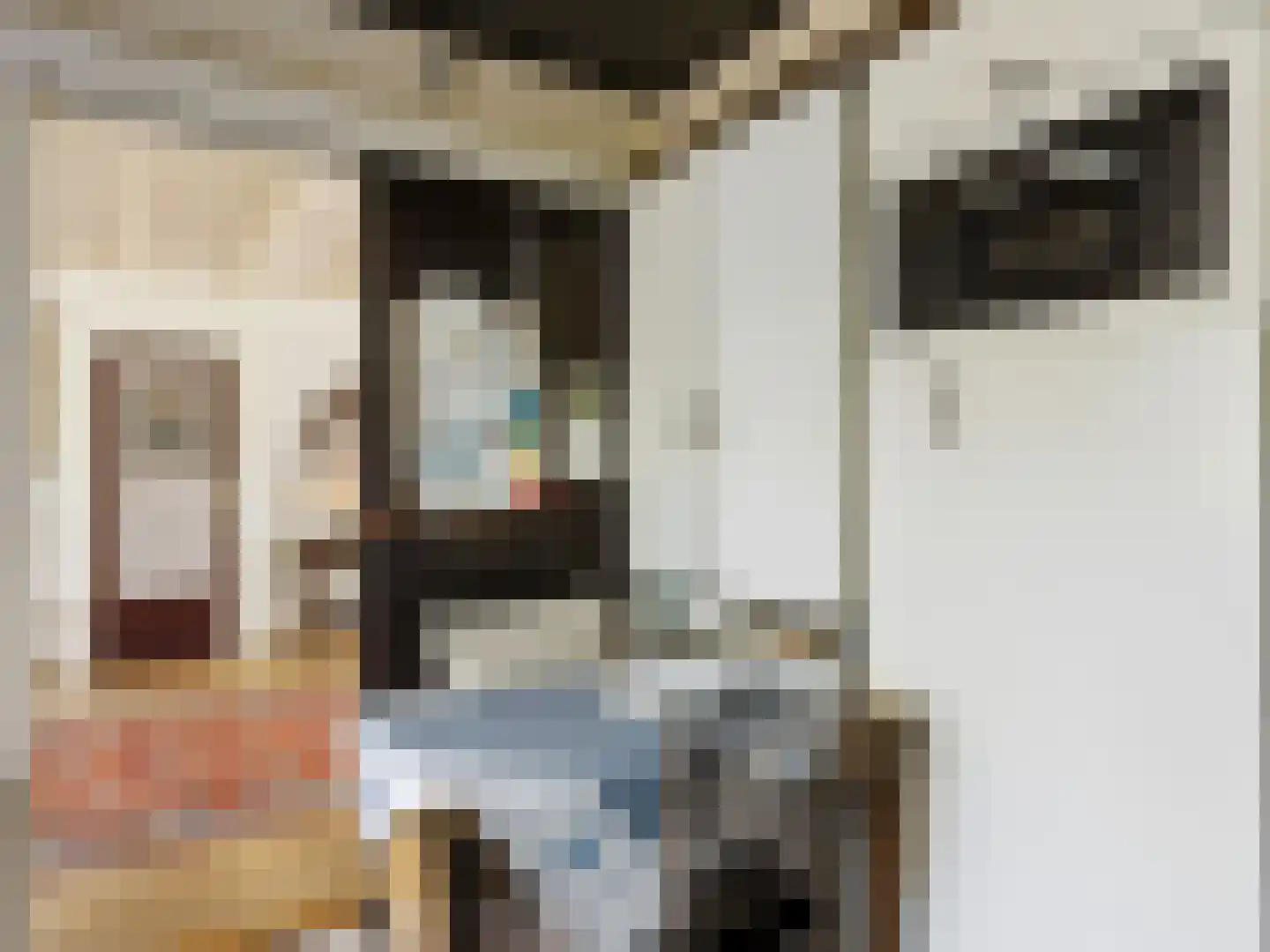 Beukenlaan 45 Renkum thumbnail 21