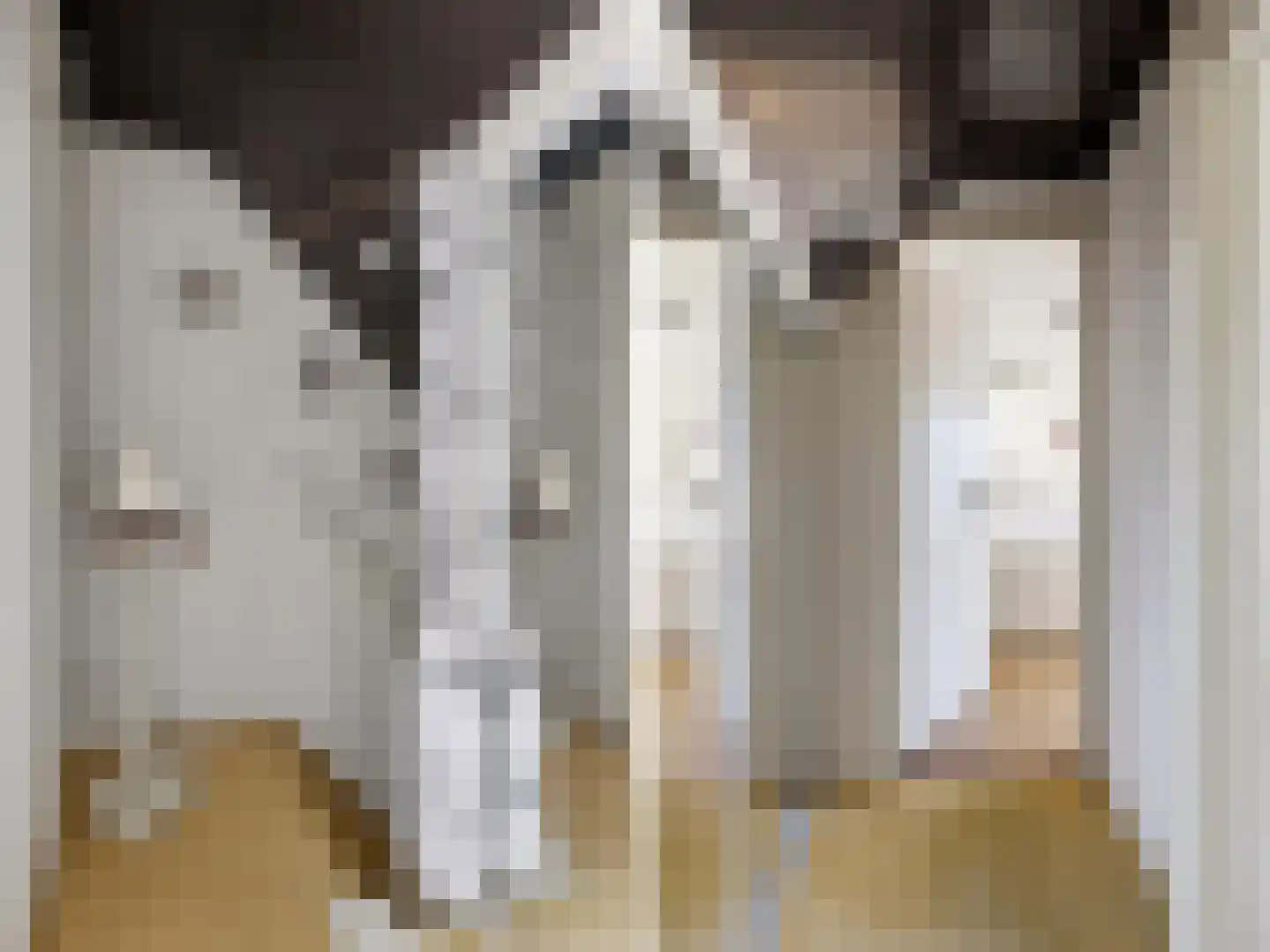 Beukenlaan 45 Renkum thumbnail 27