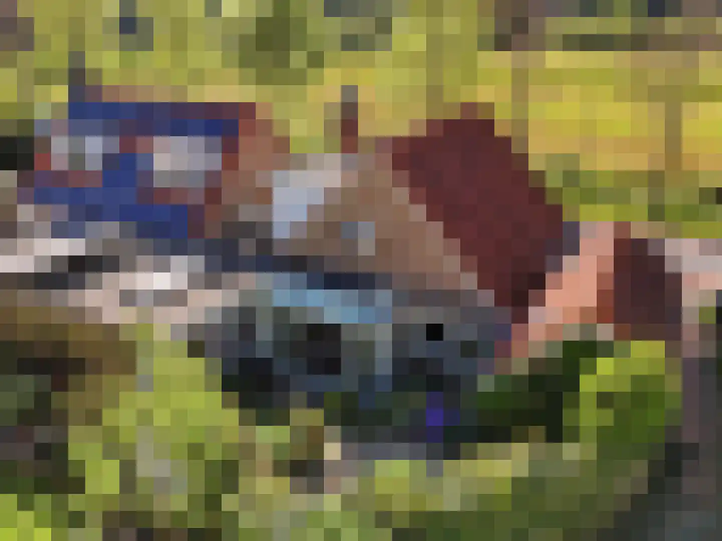 Beukenlaan 45 Renkum thumbnail 38