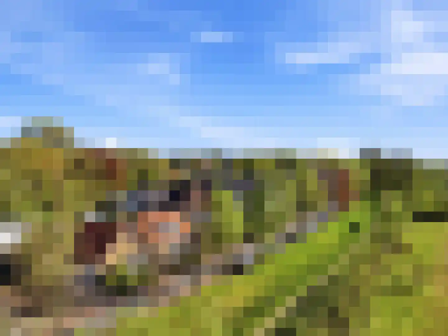 Beukenlaan 45 Renkum thumbnail 39